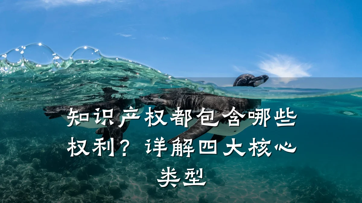 知识产权都包含哪些权利?详解四大核心类型