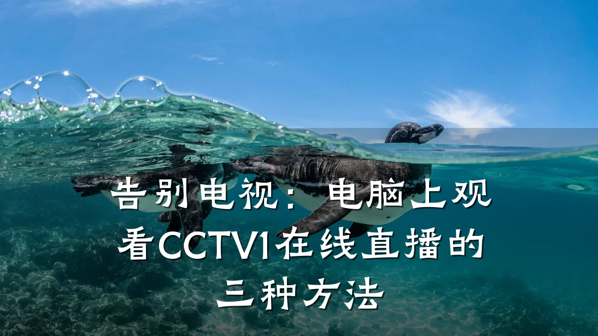 告别电视:电脑上观看CCTV1在线直播的三种方法