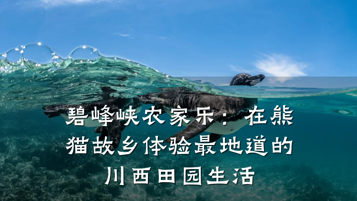 碧峰峡农家乐:在熊猫故乡体验最地道的川西田园生活