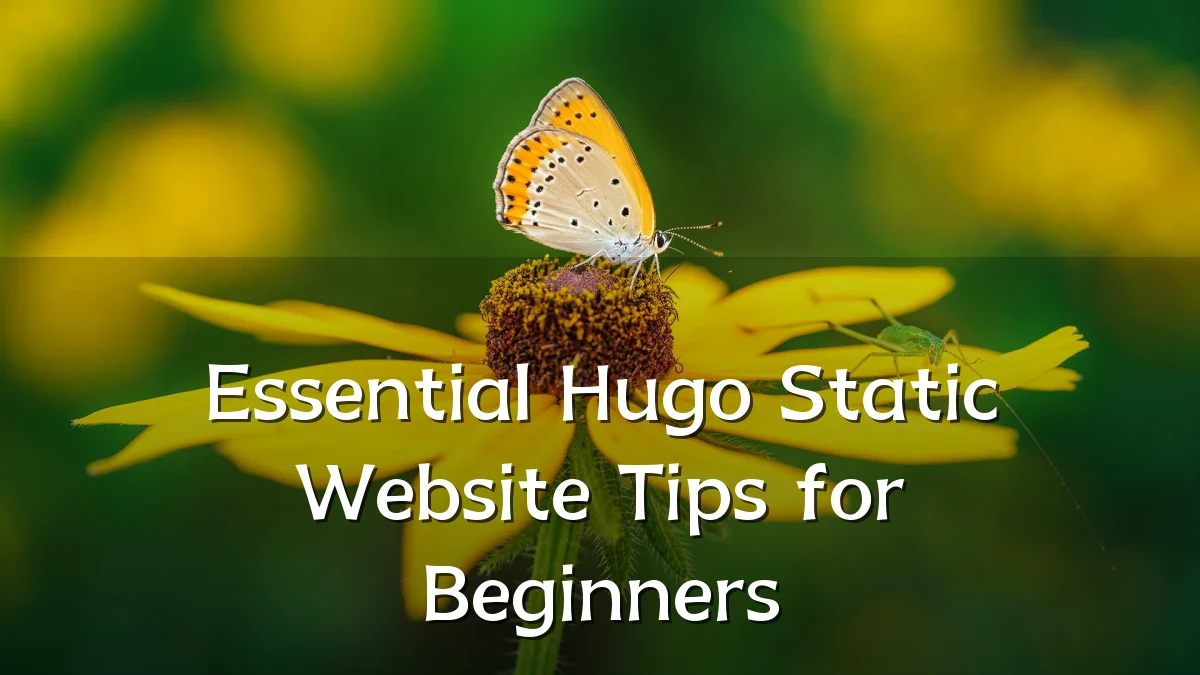 Essential Hugo Static Website Tips for Beginners