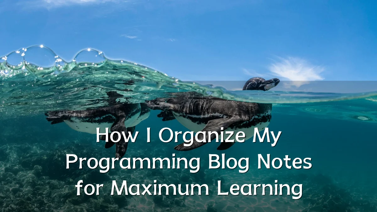 How I Organize My Programming Blog Notes for Maximum Learning