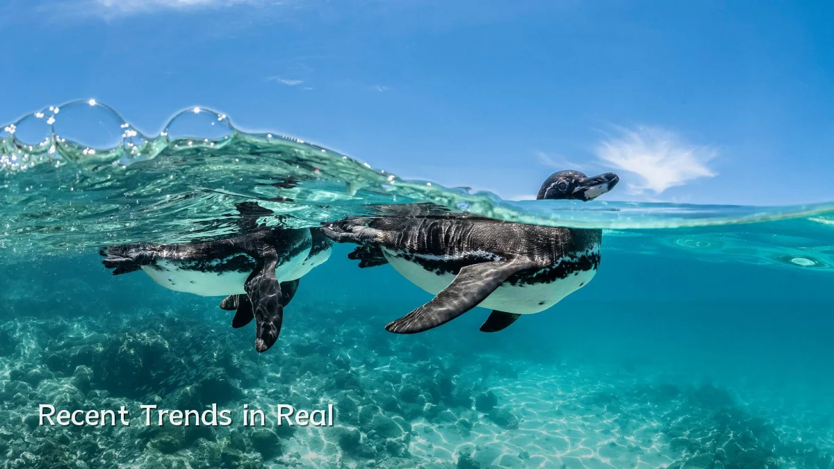 Recent Trends in Real