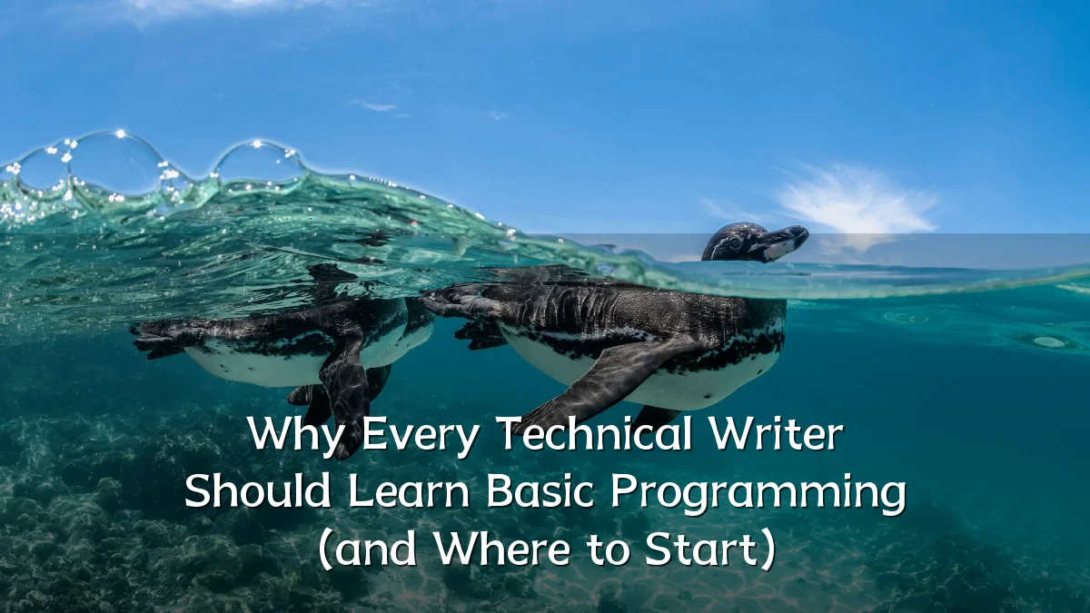 Why Every Technical Writer Should Learn Basic Programming (and Where to Start)