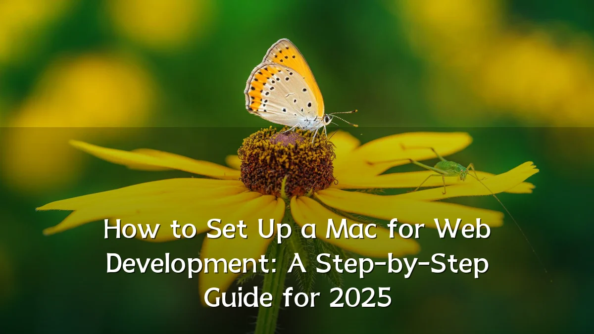 How to Set Up a Mac for Web Development: A Step-by-Step Guide for 2025