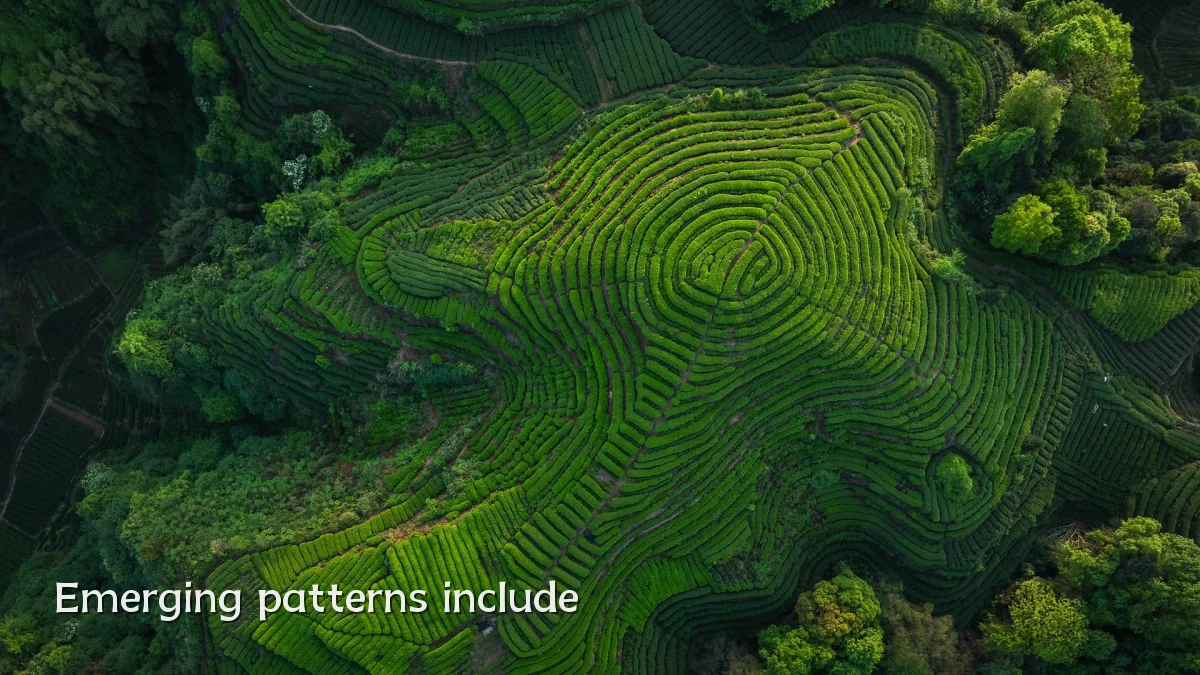 Emerging patterns include