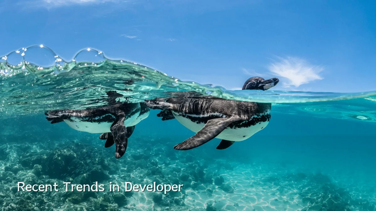 Recent Trends in Developer