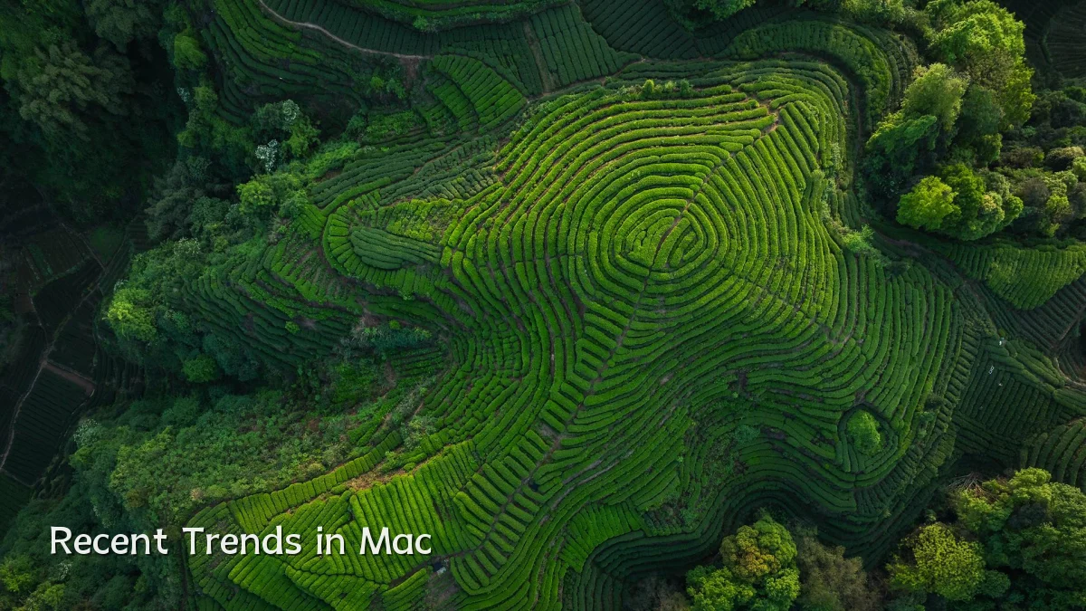 Recent Trends in Mac