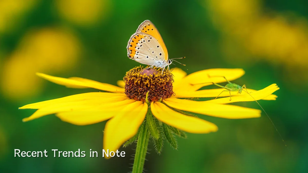 Recent Trends in Note