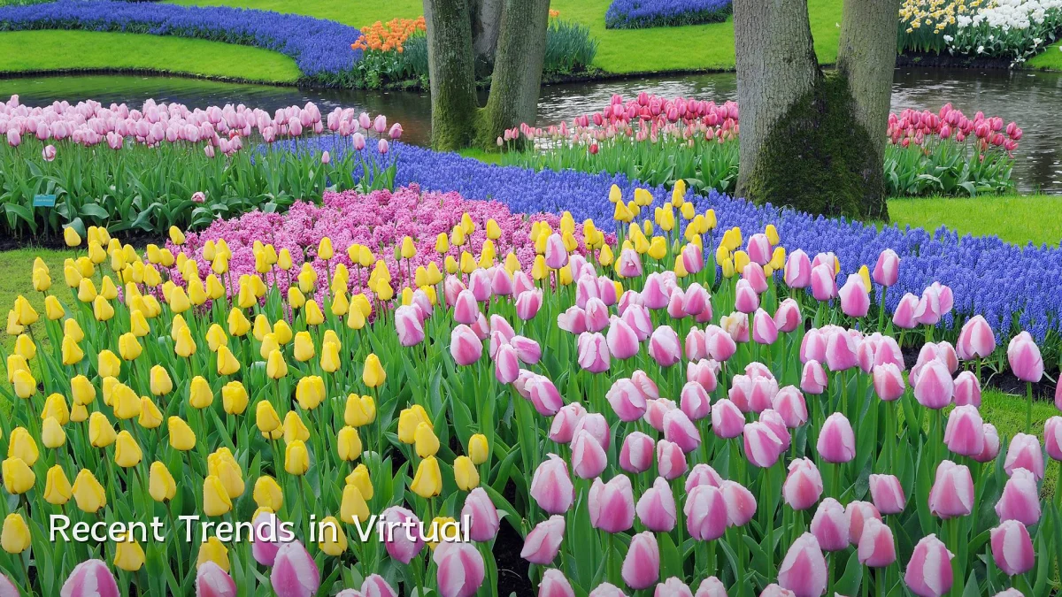 Recent Trends in Virtual