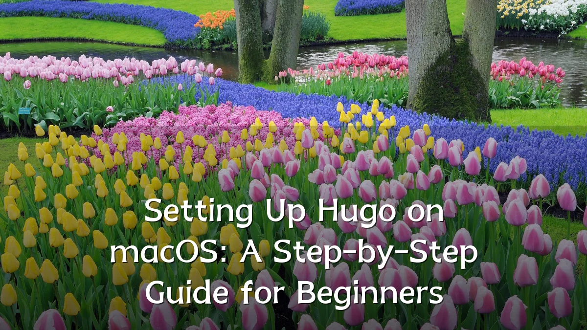 Setting Up Hugo on macOS: A Step-by-Step Guide for Beginners