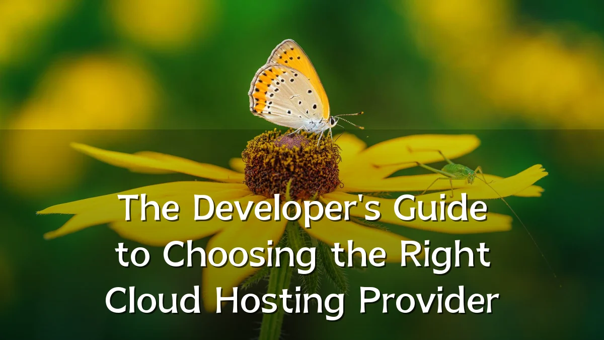 The Developer's Guide to Choosing the Right Cloud Hosting Provider