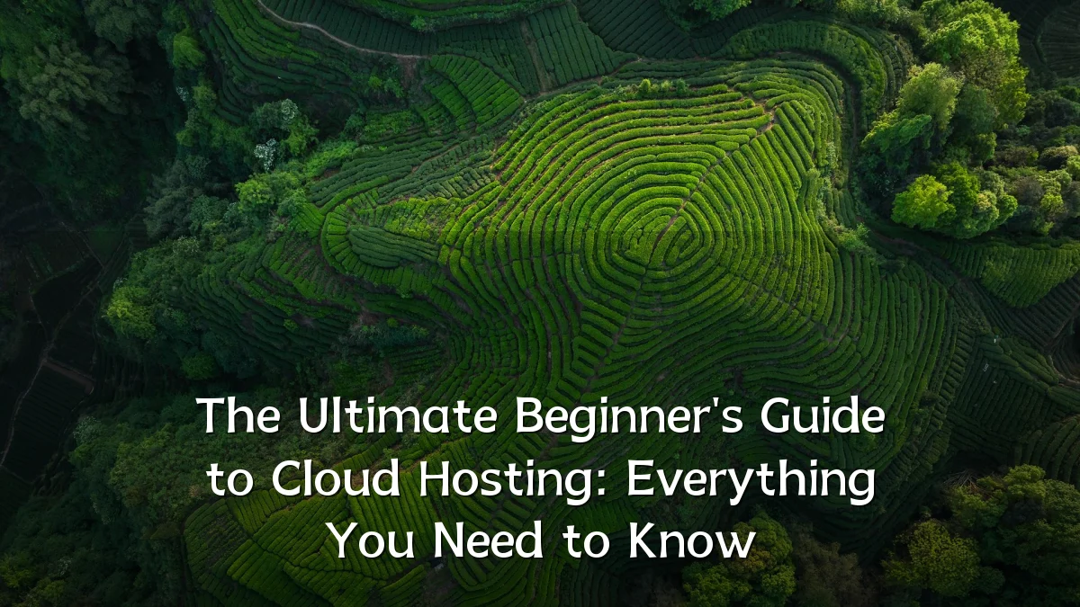 The Ultimate Beginner's Guide to Cloud Hosting: Everything You Need to Know