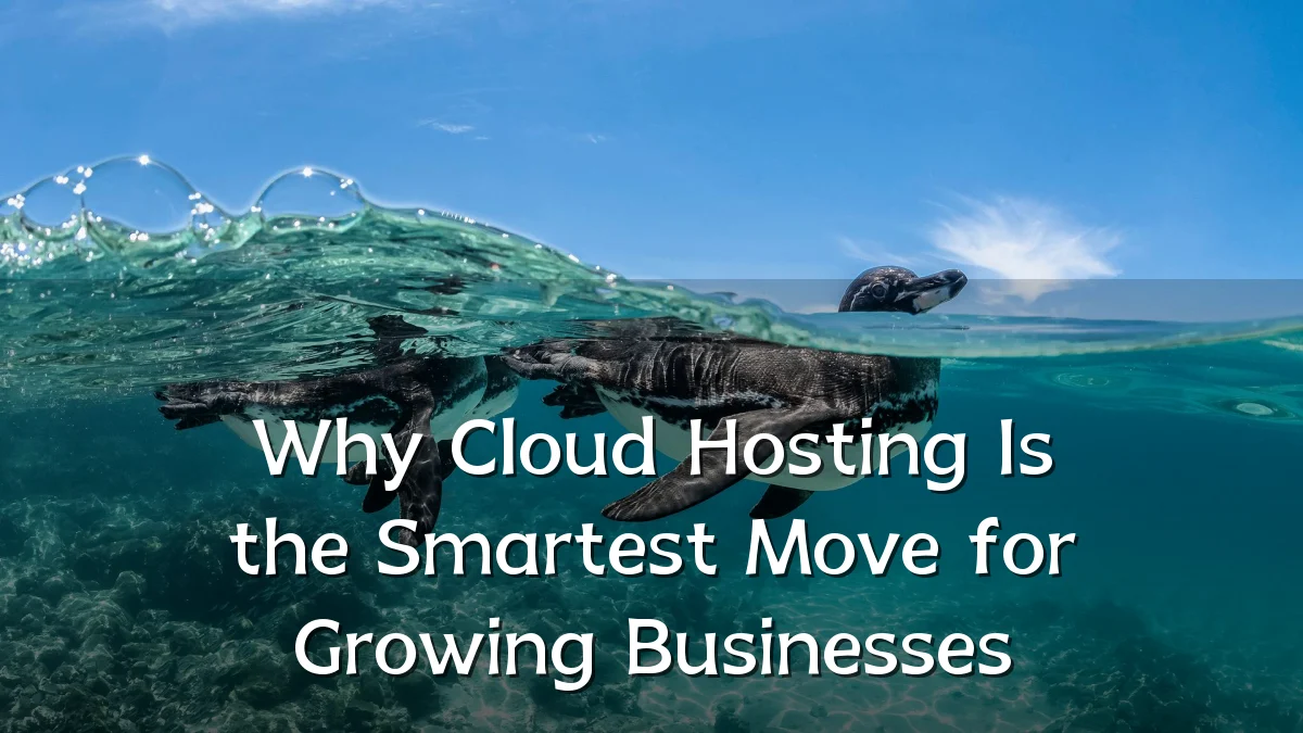 Why Cloud Hosting Is the Smartest Move for Growing Businesses