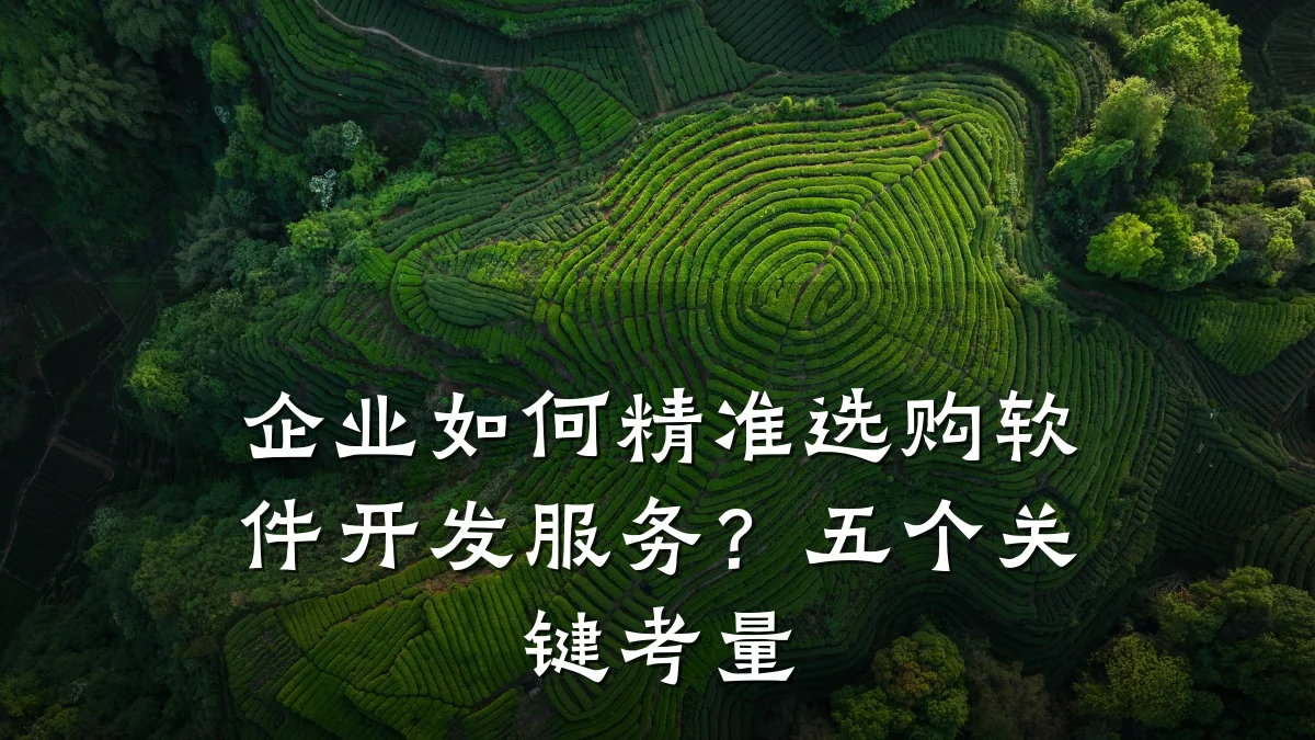 企业如何精准选购软件开发服务?五个关键考量