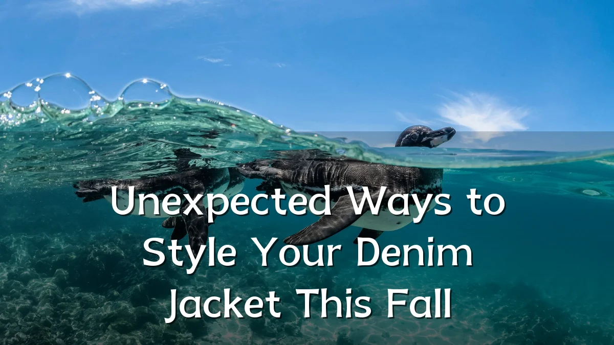 Unexpected Ways to Style Your Denim Jacket This Fall