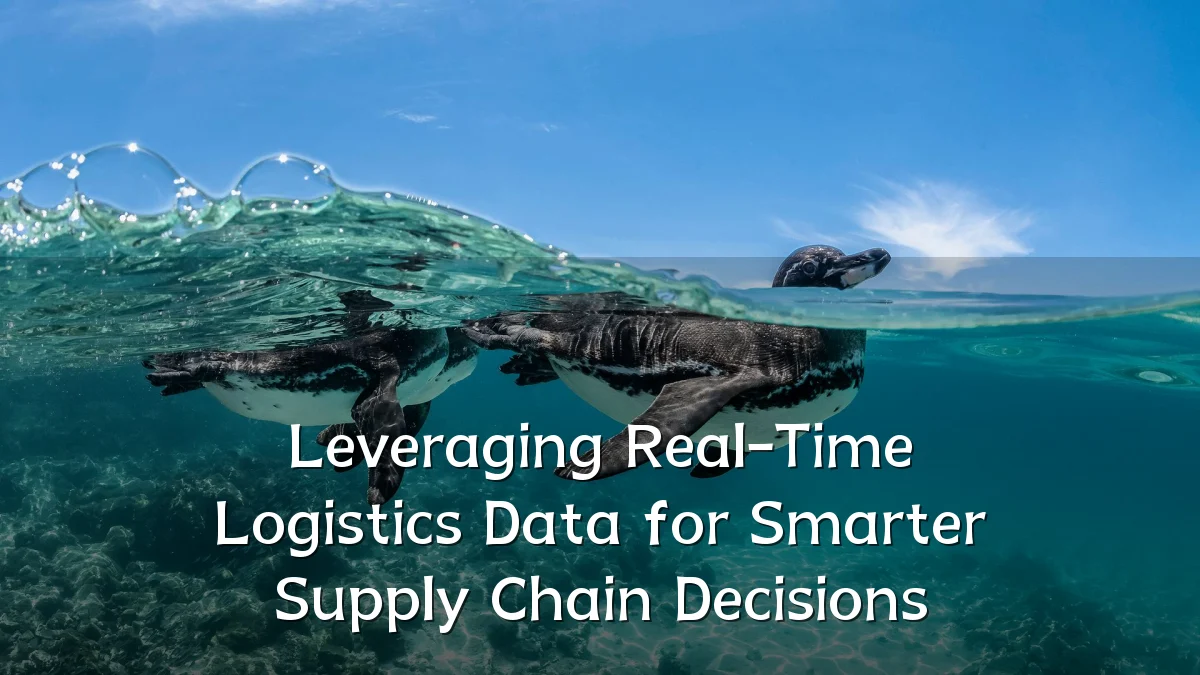 Leveraging Real-Time Logistics Data for Smarter Supply Chain Decisions
