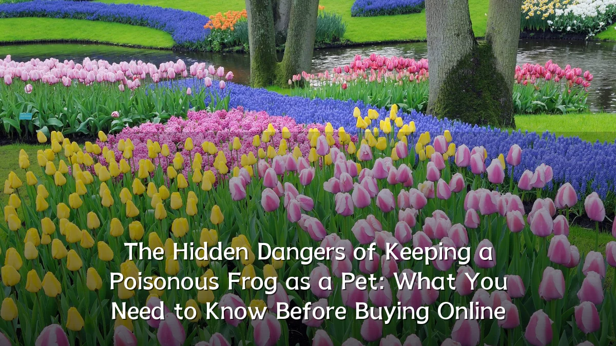 The Hidden Dangers of Keeping a Poisonous Frog as a Pet: What You Need to Know Before Buying Online