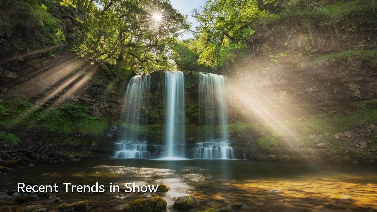 Recent Trends in Show