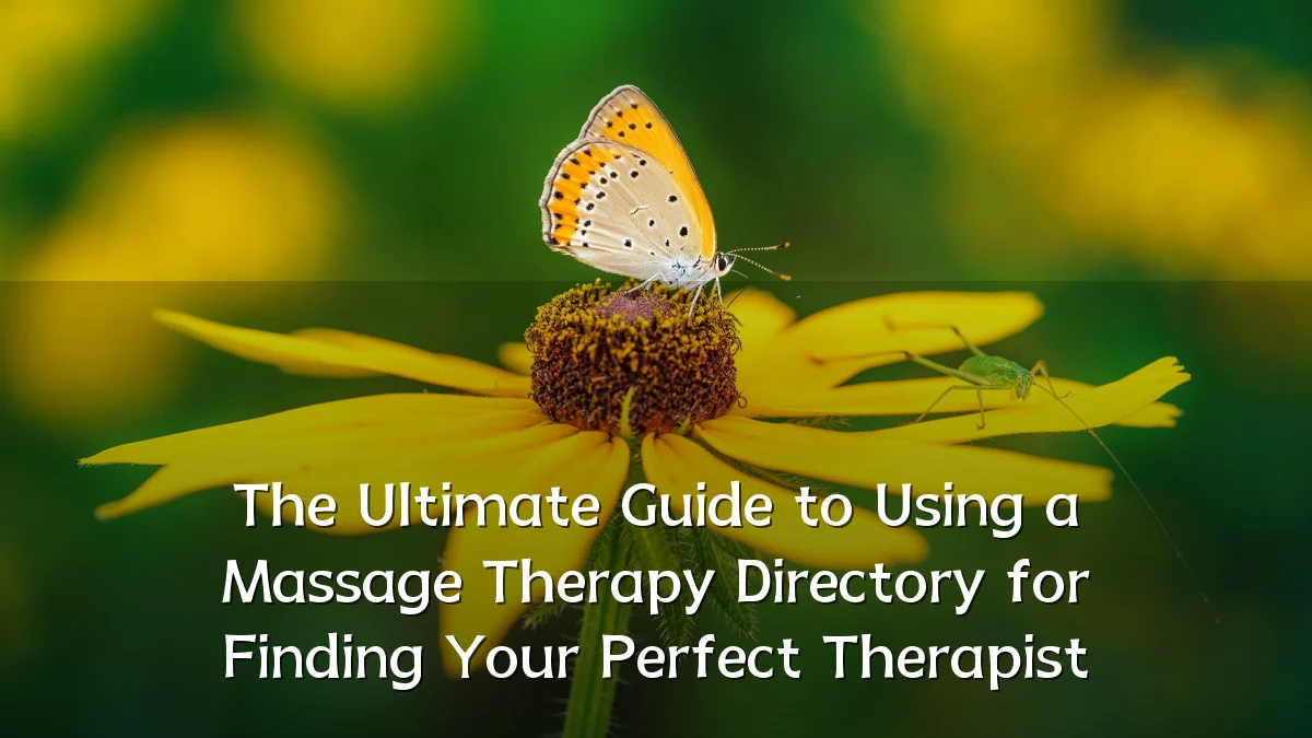 The Ultimate Guide to Using a Massage Therapy Directory for Finding Your Perfect Therapist