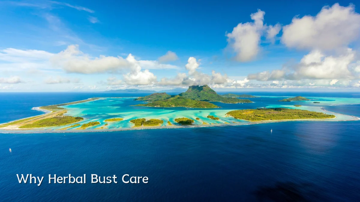 Why Herbal Bust Care